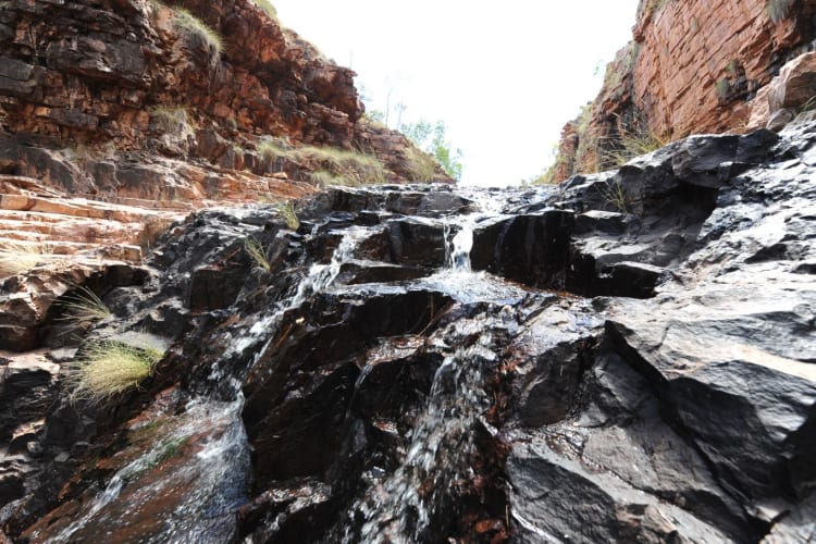 Falls at CJs